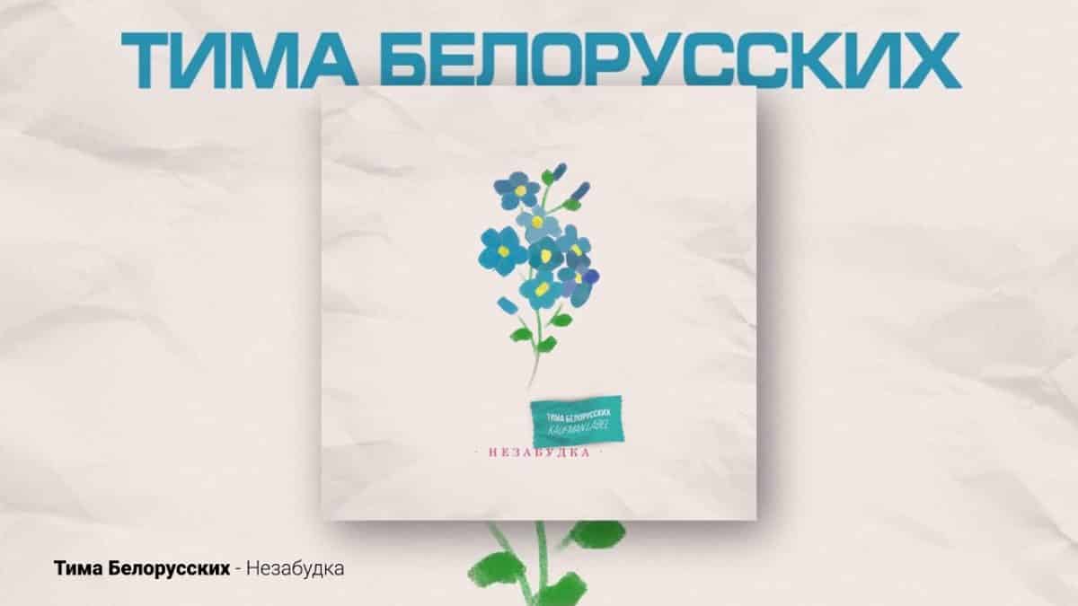 Незабудка Тимы Белорусских смысл песни