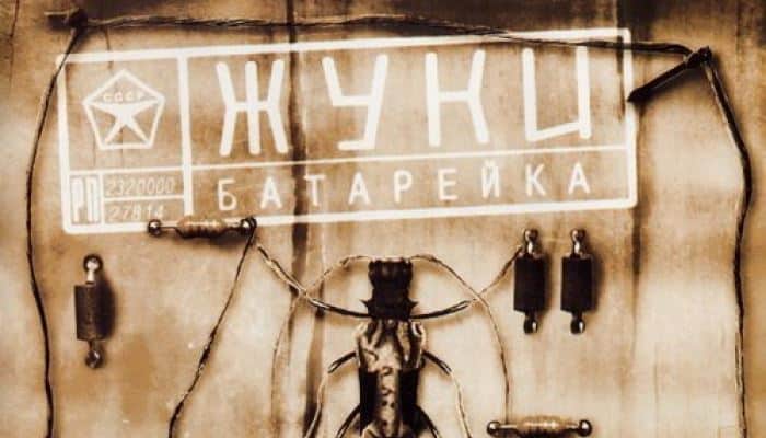 Смысл песни жуки села батарейка