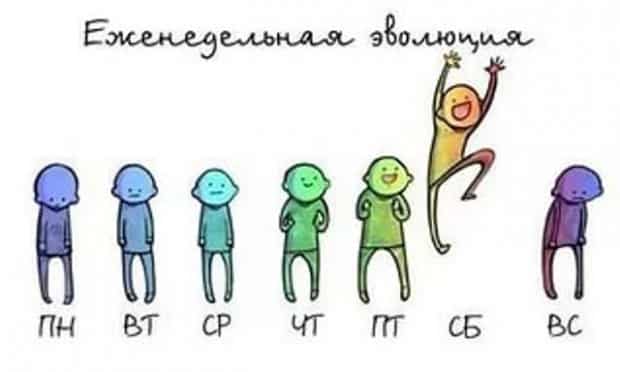 дни недели