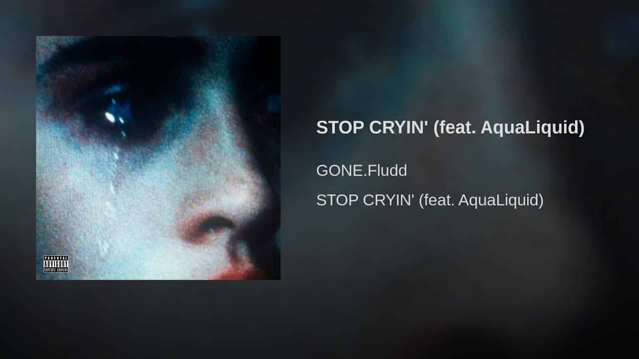 Gone Fludd и AquaLiquid "Stop cryin" - смысл песни