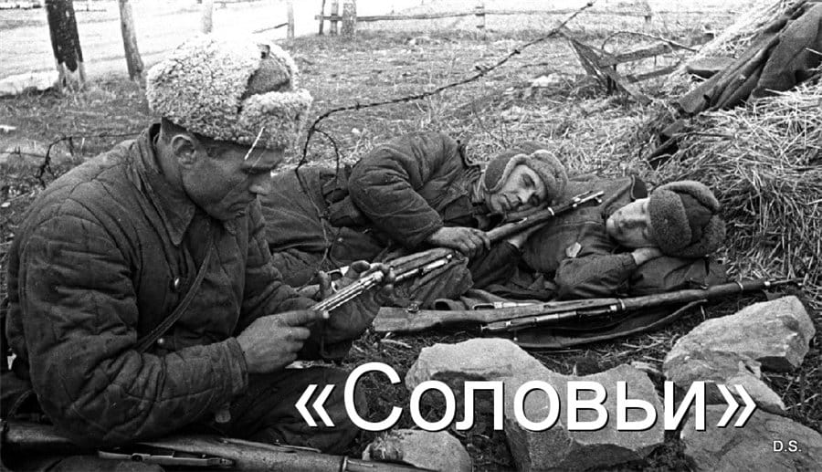 Смысл песни "Соловьи" автор Алексей Фатьянов