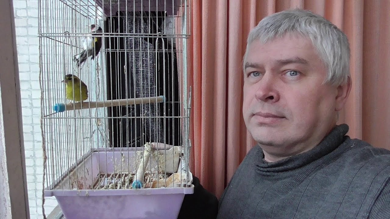 Кто такой Геннадий Горин: биография, фото, личная жизнь, болезнь