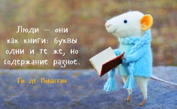 Значение и смысл пословицы "Ученье свет, а неученье тьма"