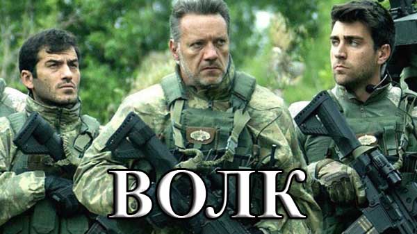 Детективный сериал "Волк": объяснение концовки