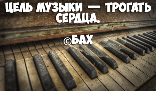 Красивые строки из песен со смыслом