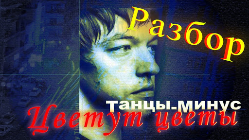 Смысл песни "Цветут цветы" группы "Танцы Минус"
