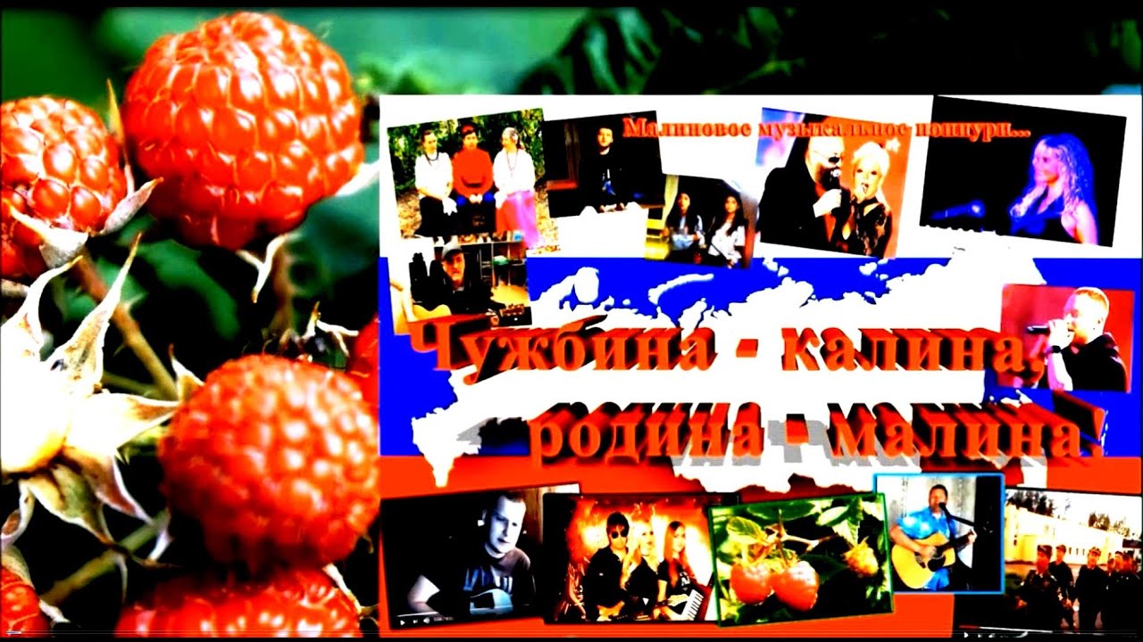 Значение и смысл пословицы «Чужбина - калина, родина - малина»