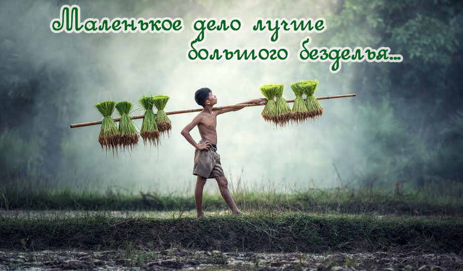 Значение и смысл пословицы "Как глядишь - так и видишь"