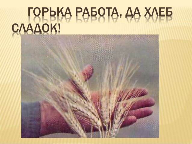Значение и смысл пословицы "Горька работа, да хлеб сладок"