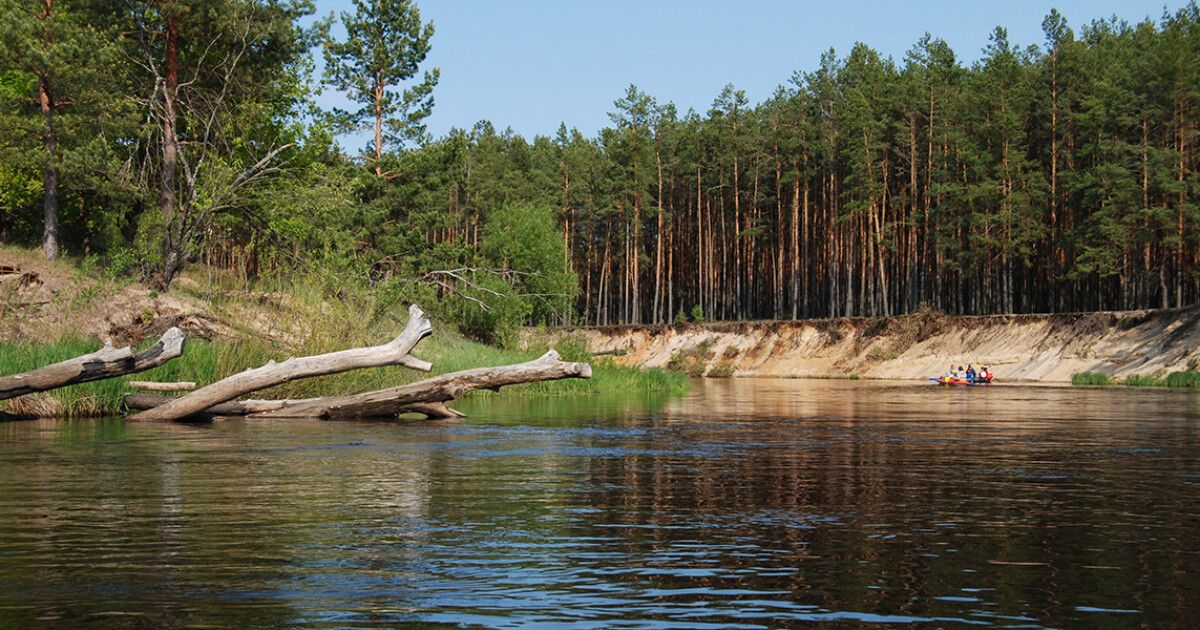 Значение и смысл "Мелка река, да круты берега"