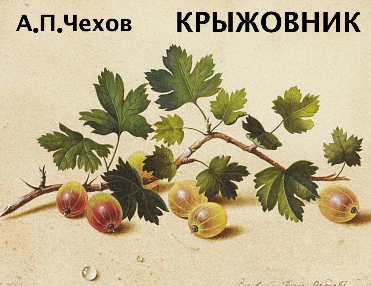 Характеристика главных героев "Крыжовник"