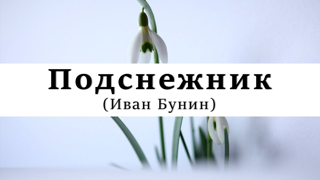 В чем смысл рассказа Бунина "Подснежник"
