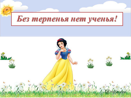 Значение и смысл пословицы "Без терпенья нет ученья"