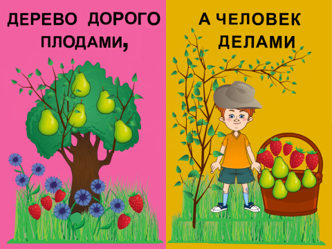 Значение и смысл пословицы "Смотри дерево в плодах, а человека в делах".