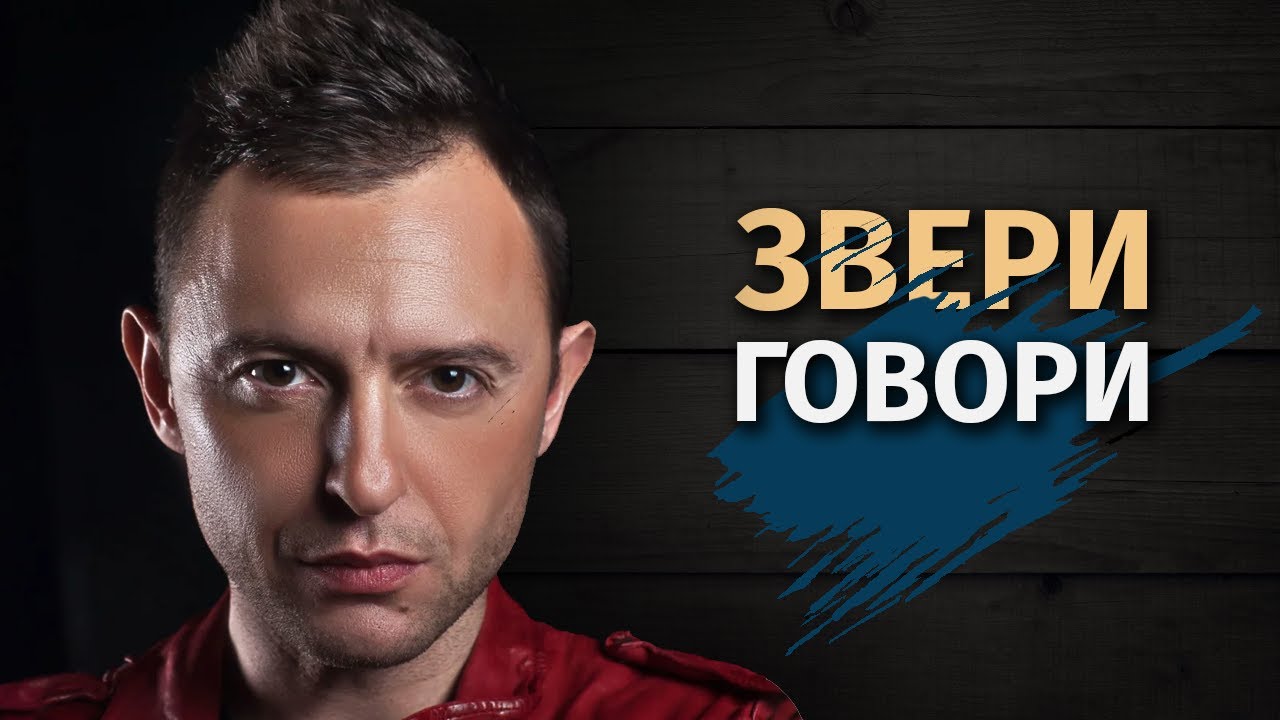 В чем смысл песни "Говори" группы Звери?