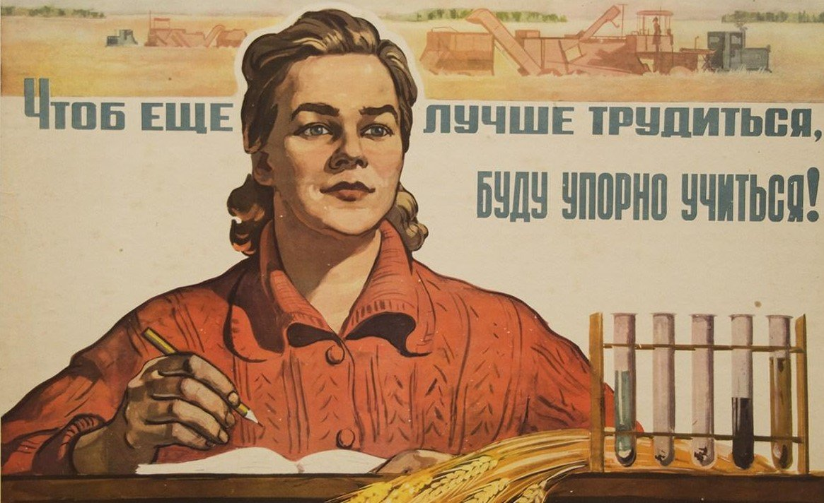 Смысл пословицы «Учись смолоду - пригодится в старости»