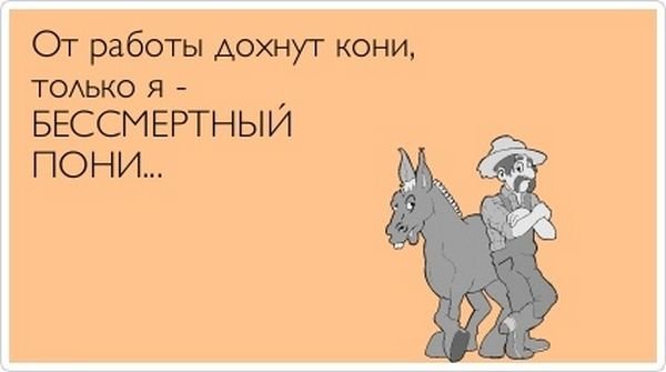 В чем заключается смысл пословицы "Дураков работа любит"?