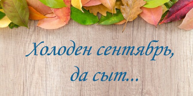 Смысл пословицы «Холоден сентябрь, да сыт»