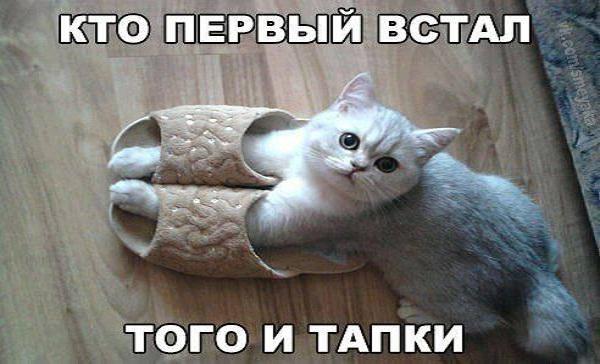 Значение и смысл пословицы "Кто рано встает, тому Бог подает"