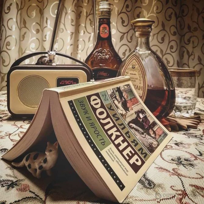 книга "Шум и ярость"